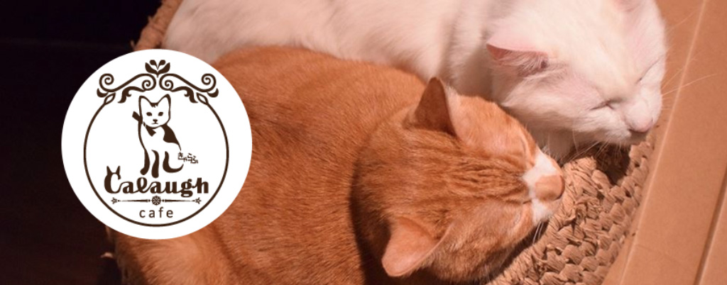 Calaugh - きゃらふ