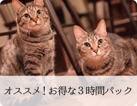 オススメ！お得な3時間パック